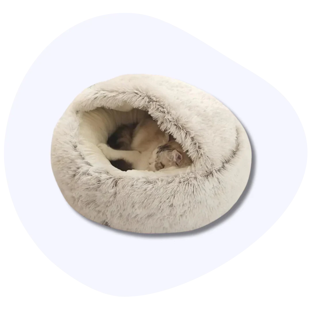 Cat beds