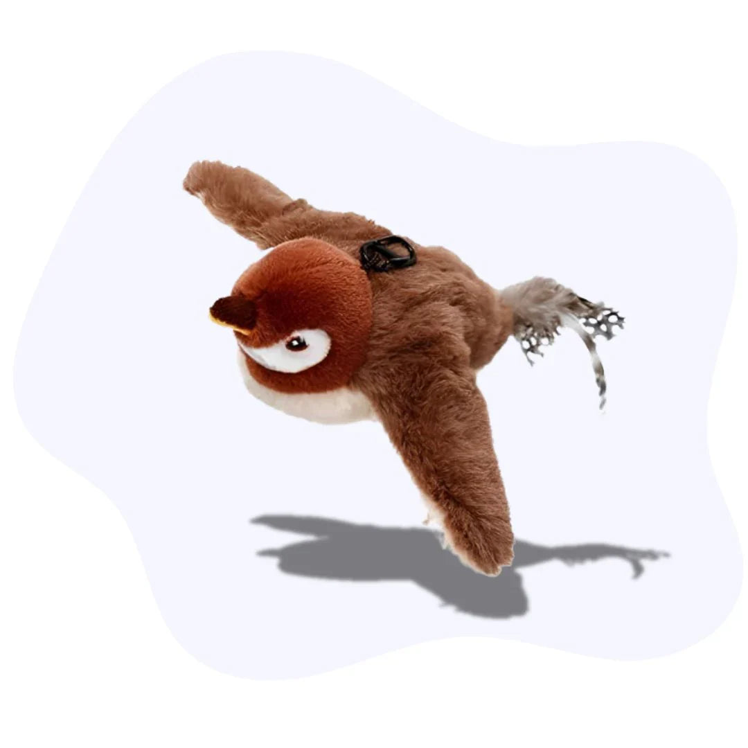 Cat toys