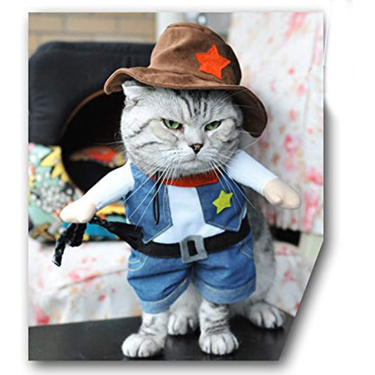 Funny cat costumes