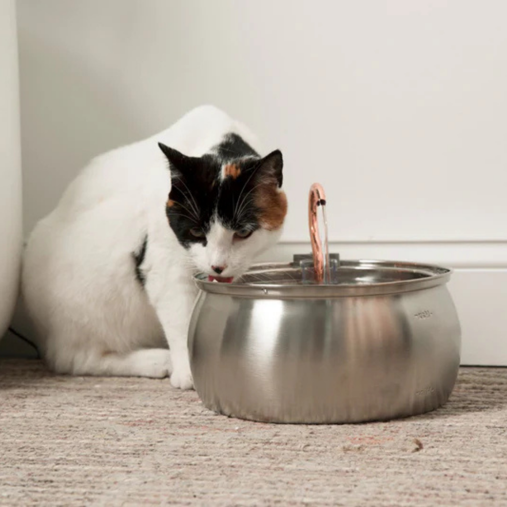 Aquadrink™ - The best cat water fountain on the market