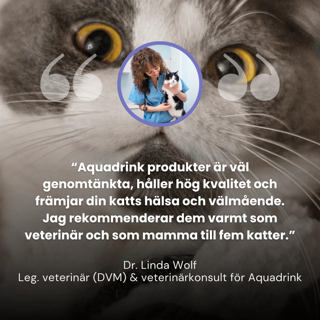 Aquadrink™ - The best cat water fountain on the market