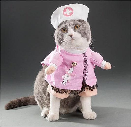 Funny cat costumes