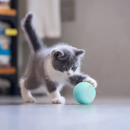 Happyball™ - Keeps your cat entertained when you're not home