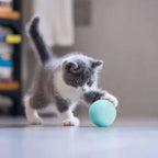 Happyball™ – Holder din kat underholdt, når du ikke er hjemme
