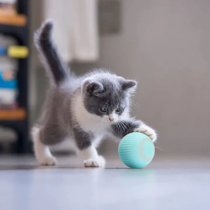 Happyball™ – Holder din kat underholdt, når du ikke er hjemme