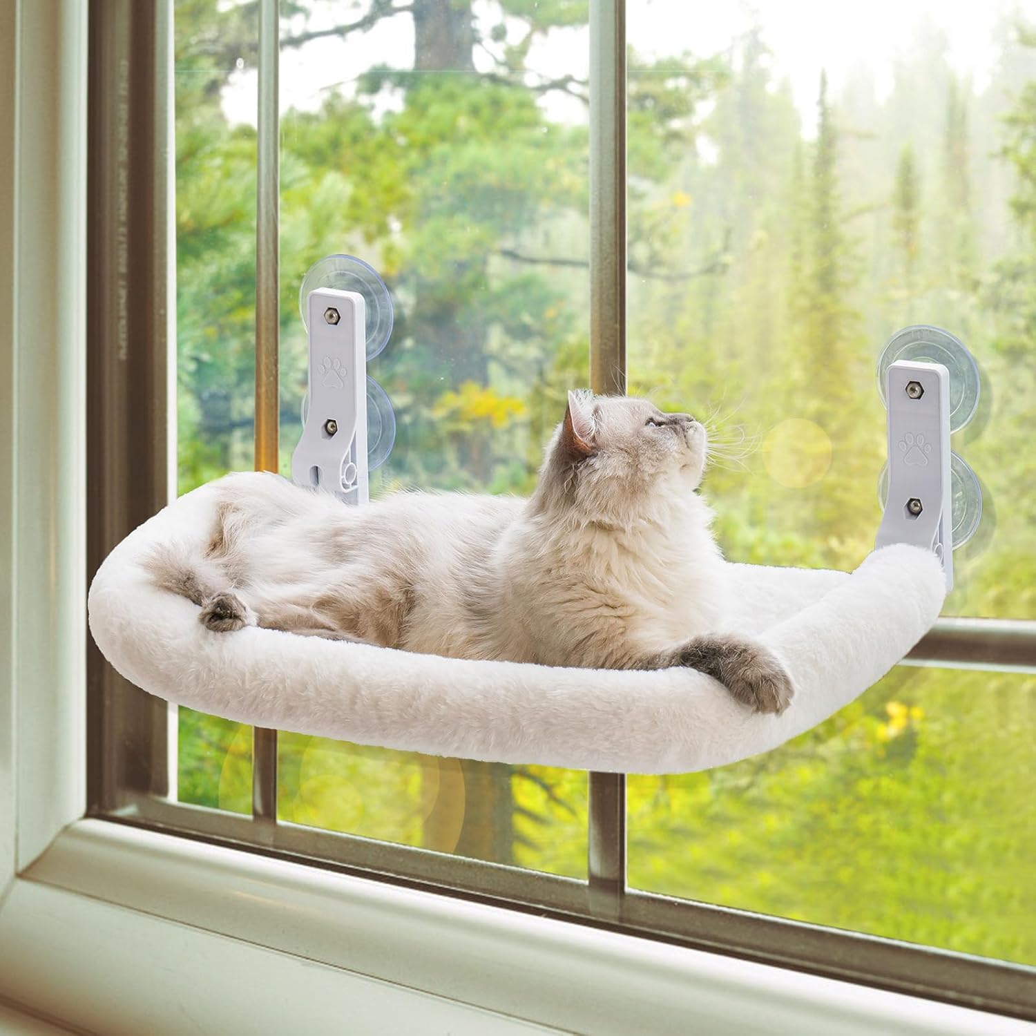 CozyView
