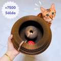 KittyRing - (Buy 1, get 1 FREE!)