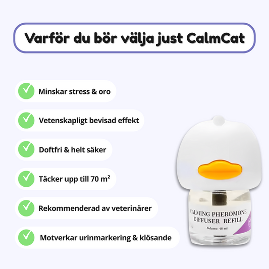 CalmCat