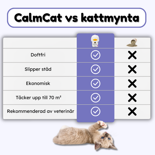 CalmCat