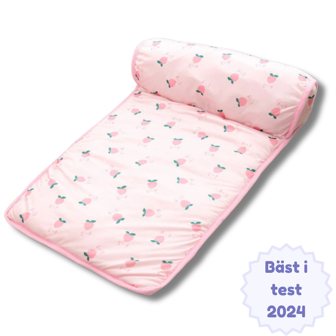 IceNap - En svalkande matta som förhindrar värmeutslag för din katt