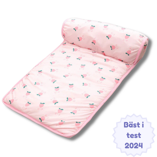 IceNap - En svalkande matta som förhindrar värmeutslag för din katt