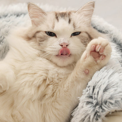 CatNap - Cat bed that relieves stress and anxiety