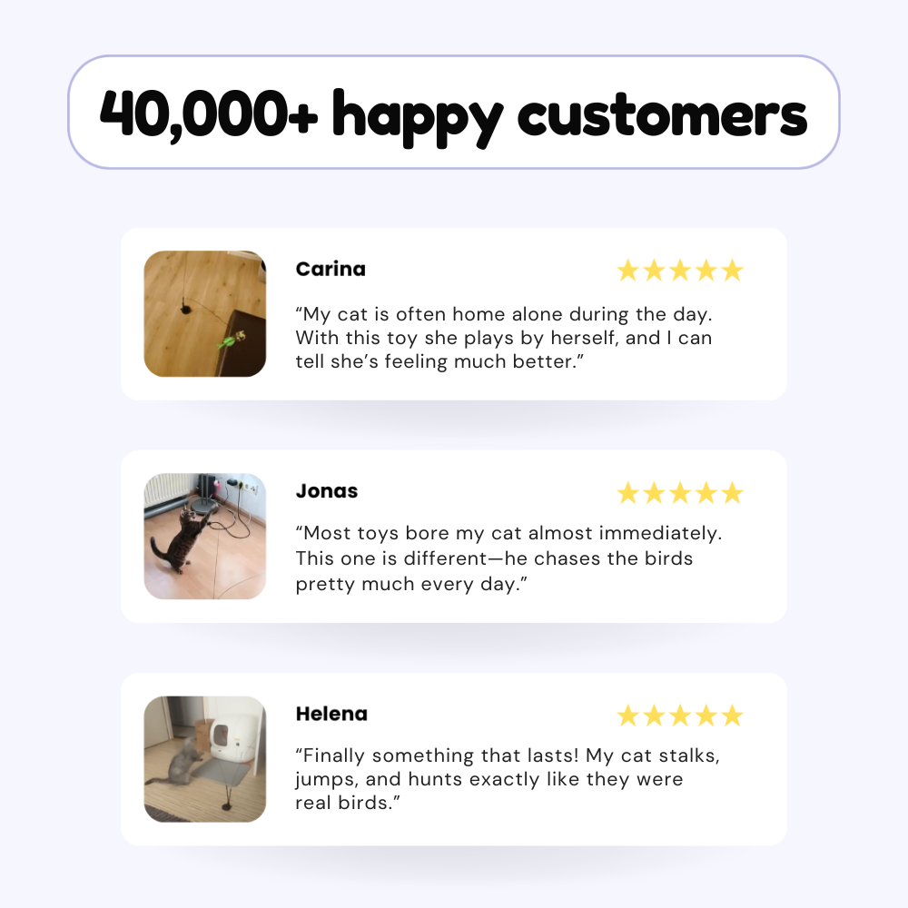 Swiftie™ – Let your cat feel like a hunter again