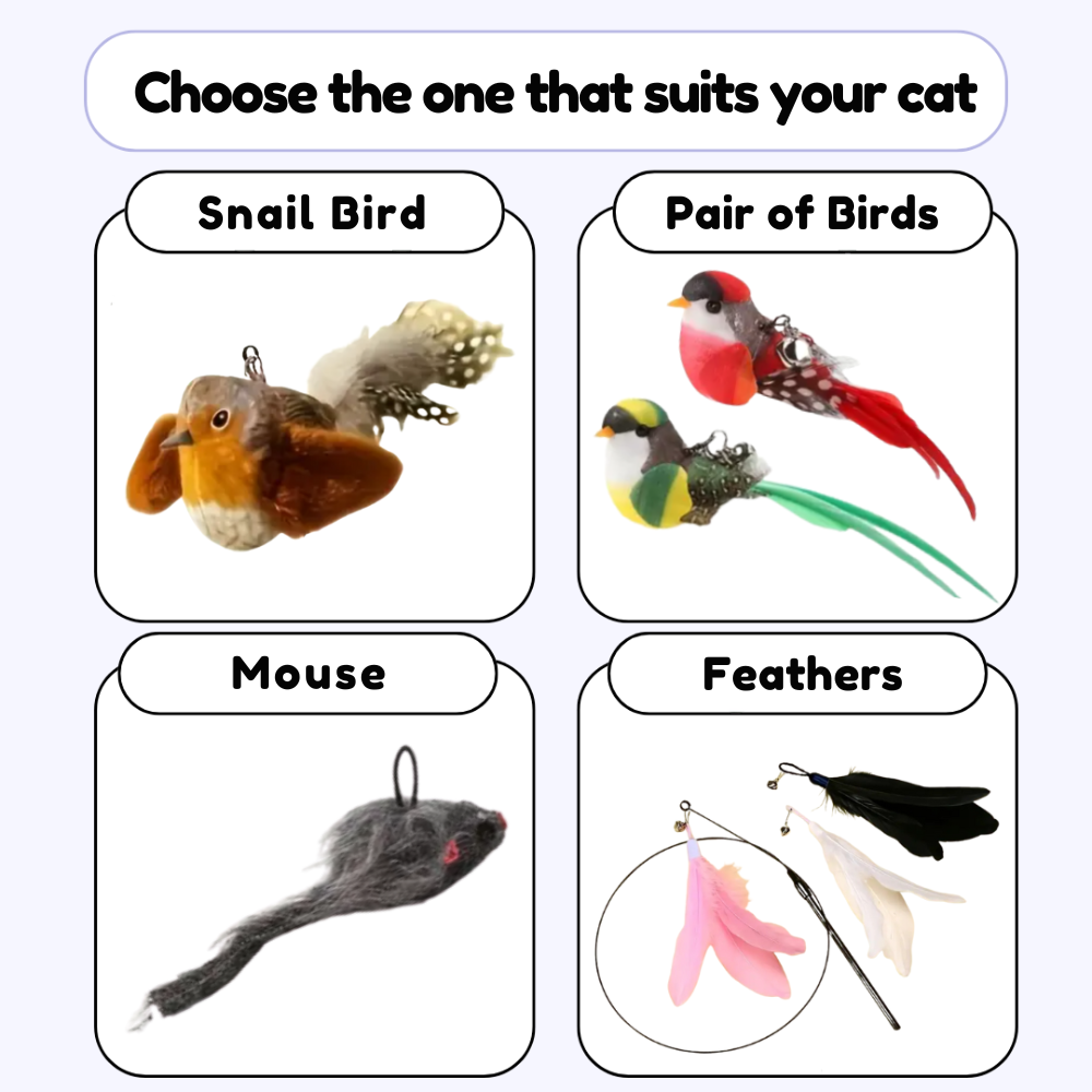 Swiftie™ – Let your cat feel like a hunter again