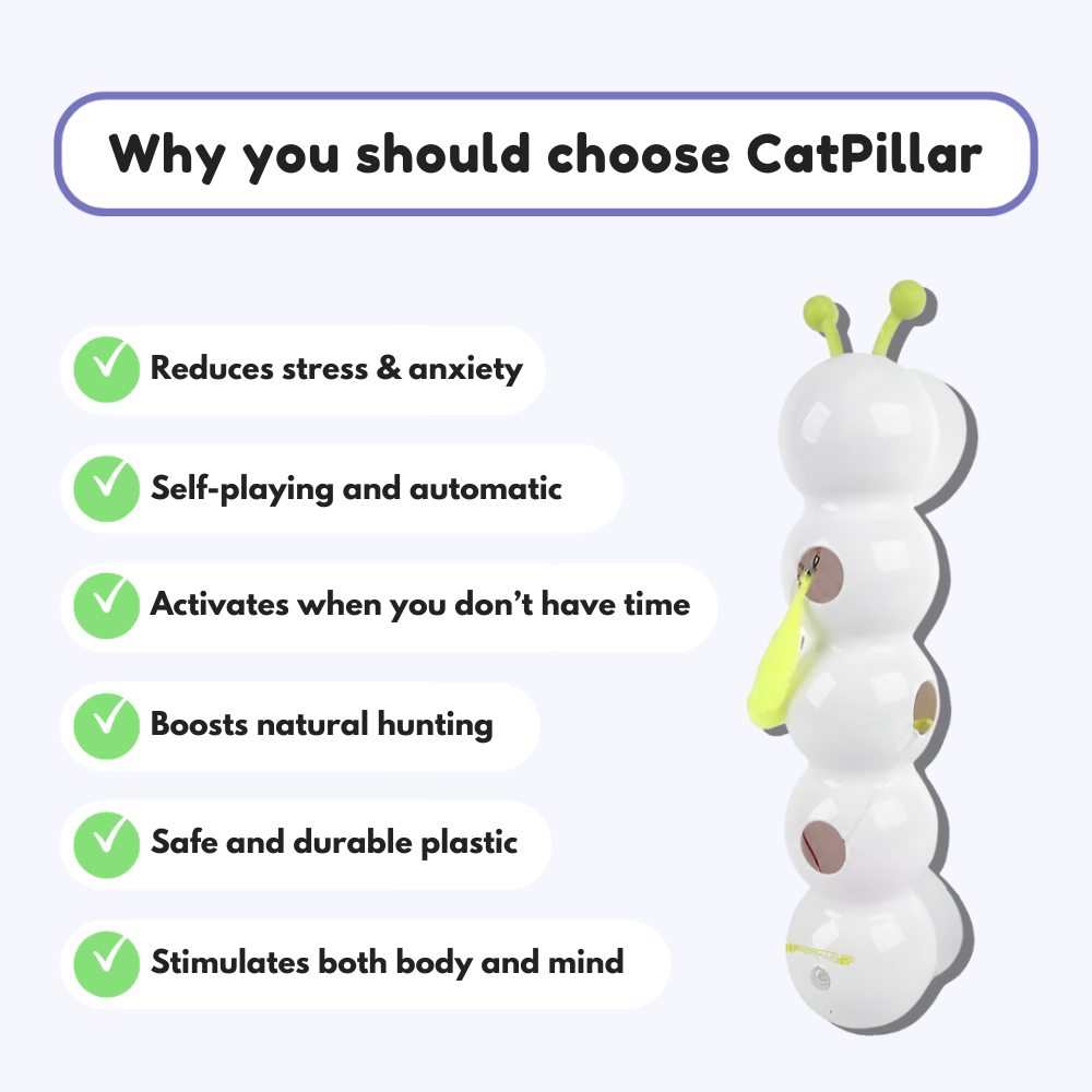 CatPillar™