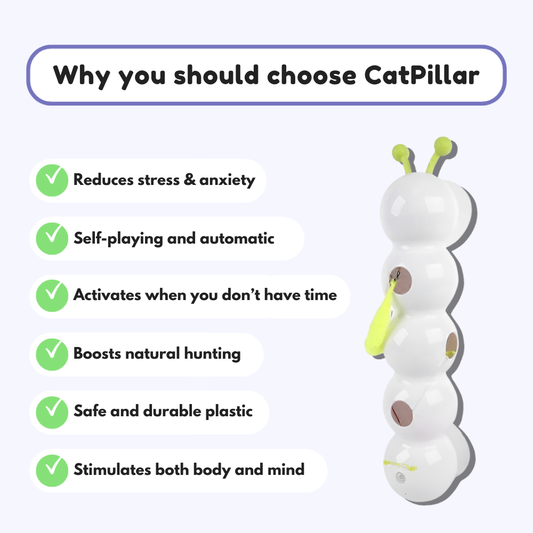 CaterPillar™