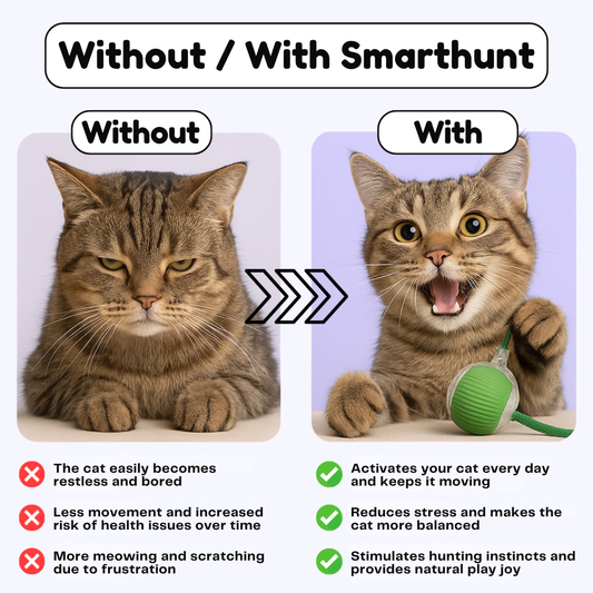 SmartHunt – Smart, self-propelled and became the cat toy of the year 2024