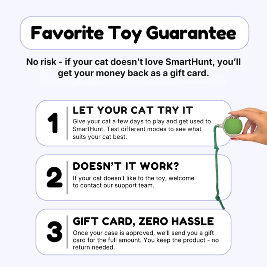 SmartHunt – Smart, self-propelled and became the cat toy of the year 2024