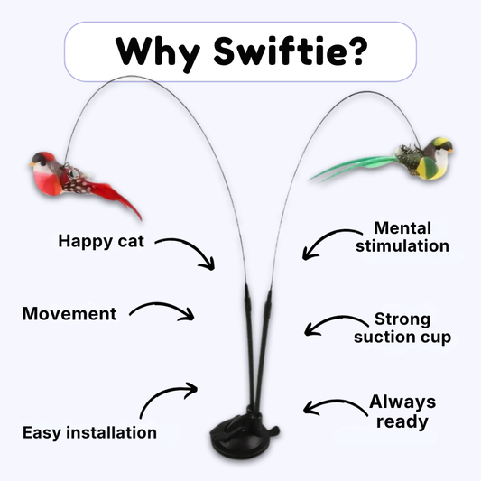 Swiftie™ – Lad din kat føle sig som en jæger igen