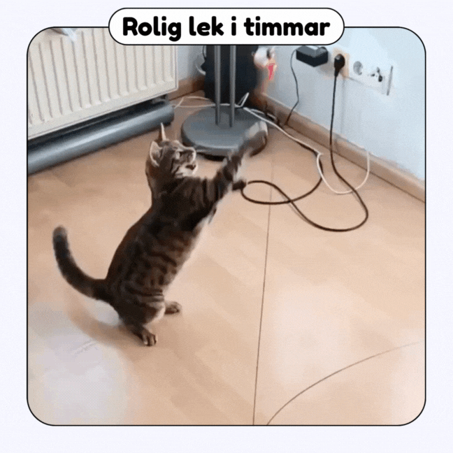 Swiftie™ - Får din katt att känna sig som en jägare igen