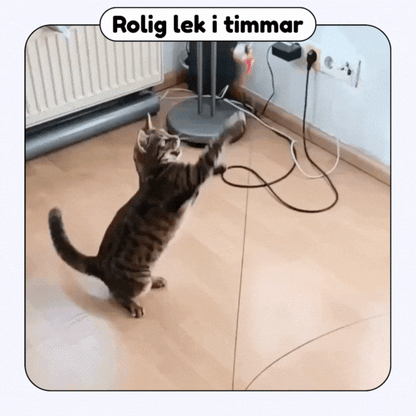 Swiftie™ - Får din katt att känna sig som en jägare igen