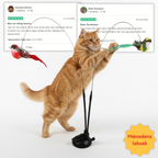 Swiftie™ – Let your cat feel like a hunter again