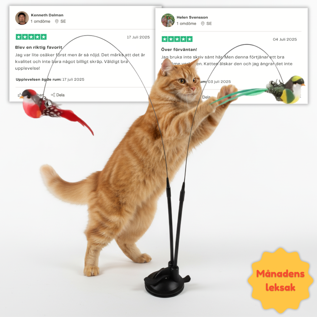 Swiftie™ – Let your cat feel like a hunter again