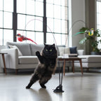Swiftie™ – Let your cat feel like a hunter again