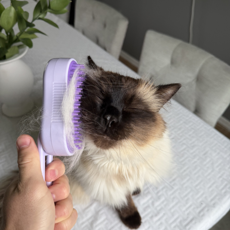 Brush as usual