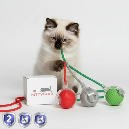 SmartHunt – Smart, self-propelled and became the cat toy of the year 2024