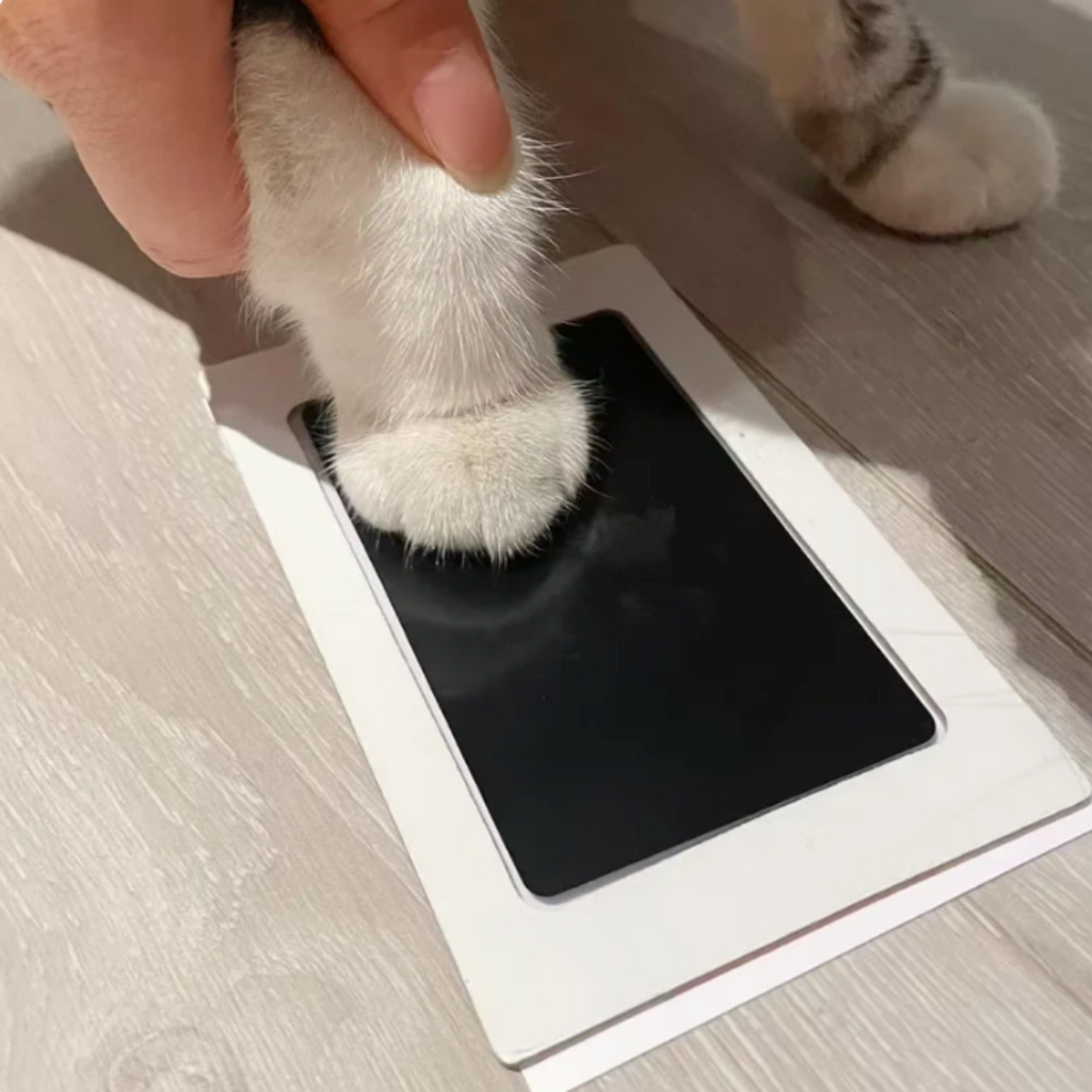 Foreverpaw – A lifetime memory of your cat’s paw print