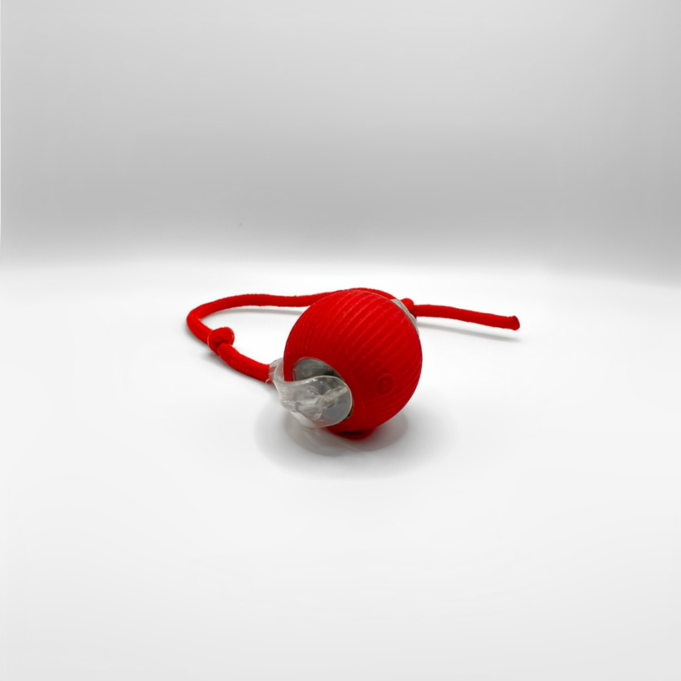 SmartHunt – Smart, selvkørende og blev årets kattelegetøj 2024