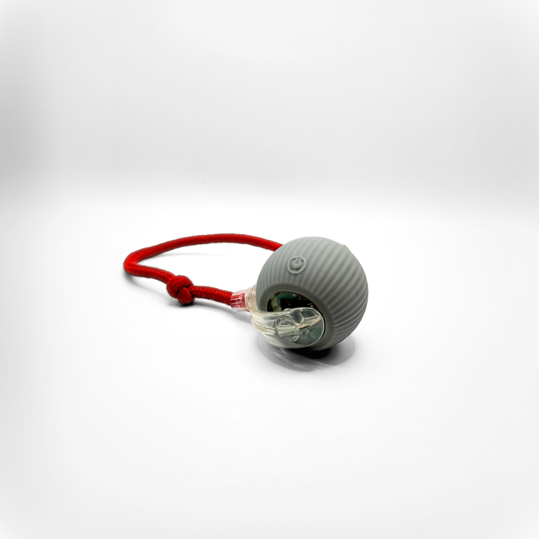 SmartHunt – Smart, self-propelled and became the cat toy of the year 2024