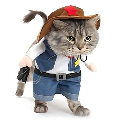 Funny cat costumes