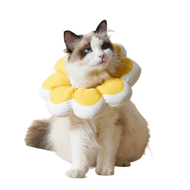 Flowerheal - Soft funnel for healing