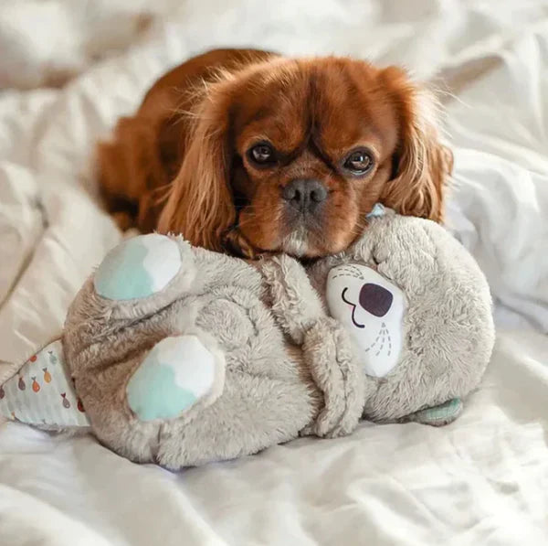 CalmFriend – A pulsing plush toy that relieves anxiety and stress in cats