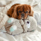 CalmFriend – A pulsing plush toy that relieves anxiety and stress in cats