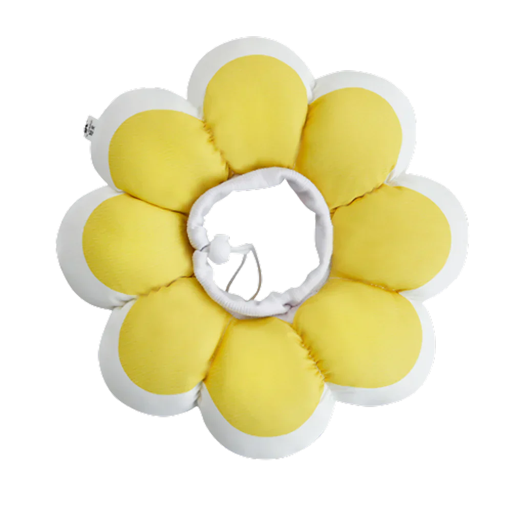 Flowerheal - Soft funnel for healing