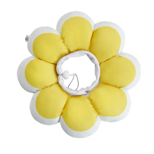 Flowerheal - Soft funnel for healing