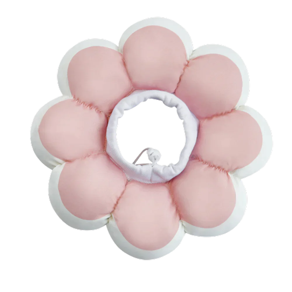 Flowerheal - Soft funnel for healing