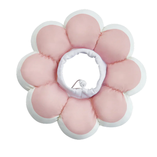 Flowerheal - Soft funnel for healing