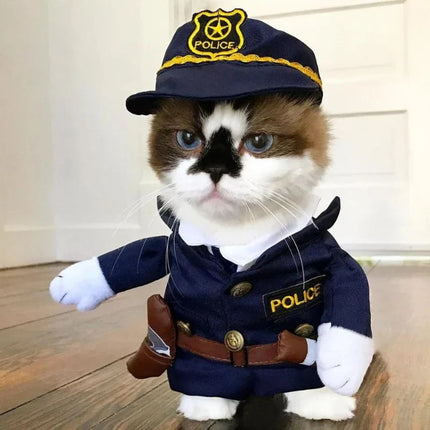 Funny cat costumes