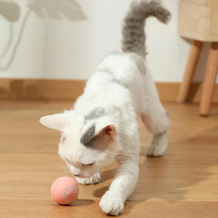 Happyball™ - Keeps your cat entertained when you're not home