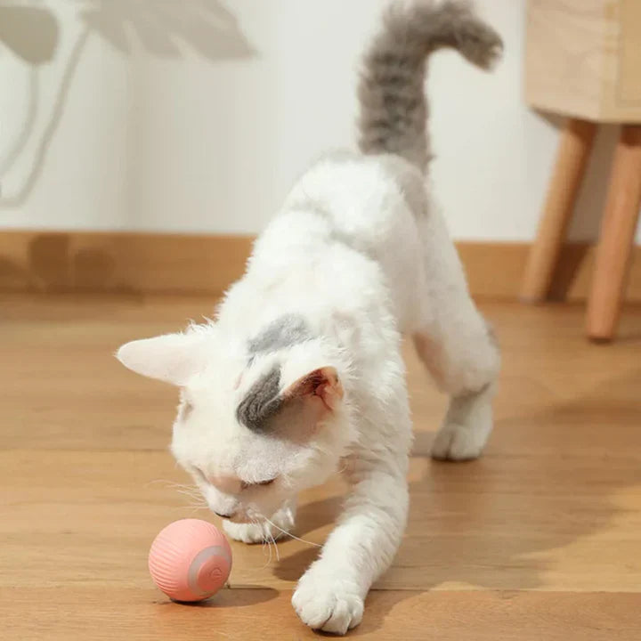 Happyball™ – Holder din kat underholdt, når du ikke er hjemme