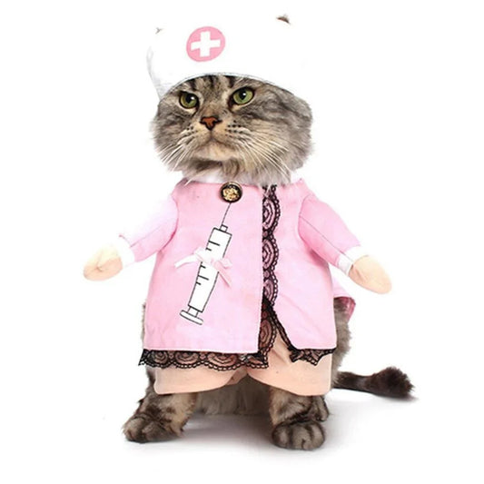 Funny cat costumes