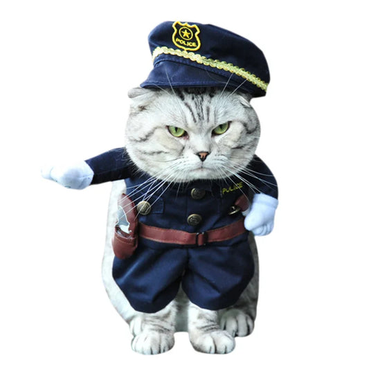 Funny cat costumes