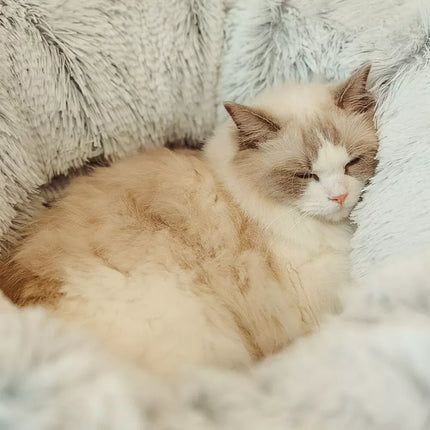 CloudBed - The perfect cat bed